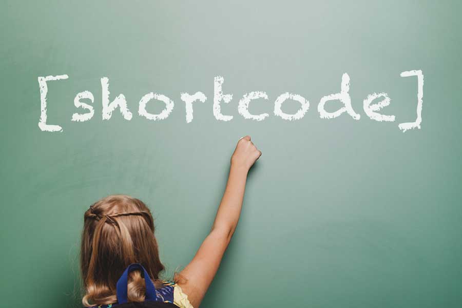 add wordpress shortcode to your theme